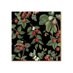 Easy Life Paquet de 20 serviettes ORCHARD Best